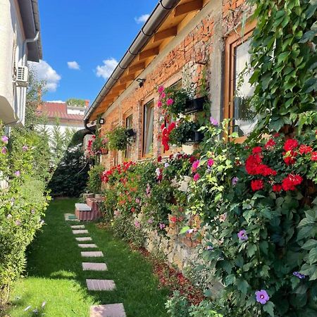 פרישטינה Flower House In The City Center! מראה חיצוני תמונה