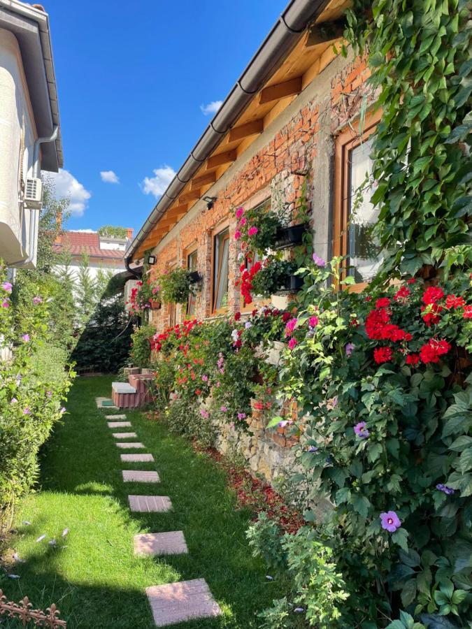 פרישטינה Flower House In The City Center! מראה חיצוני תמונה