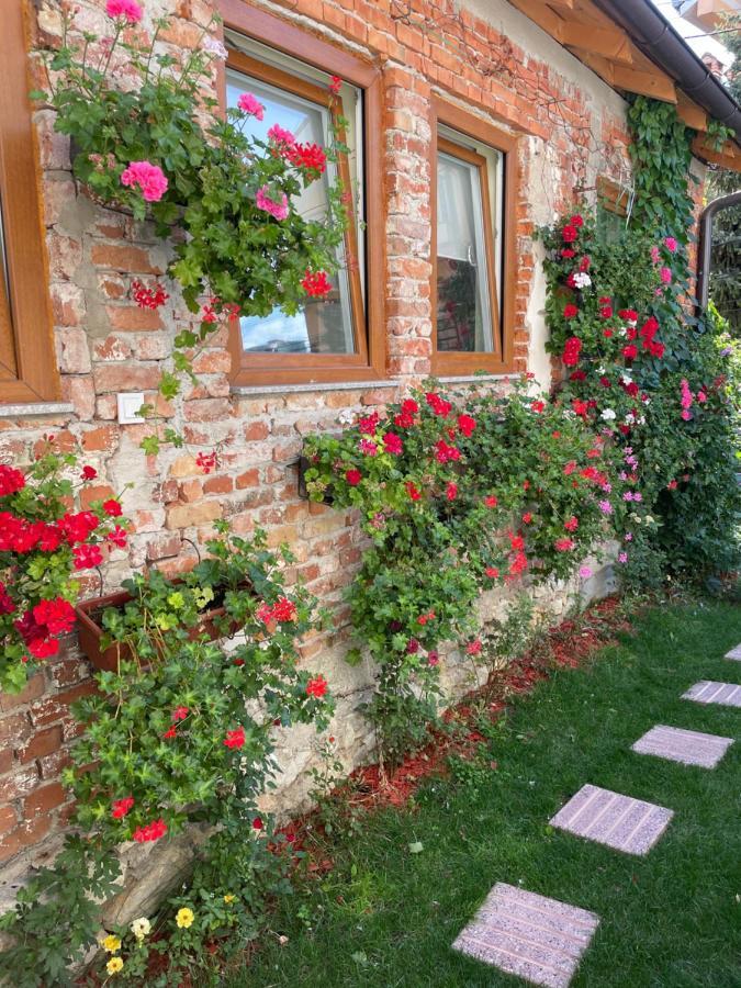 פרישטינה Flower House In The City Center! מראה חיצוני תמונה